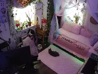 voyeurcam veccasalt 01's Live Sex Cam Show