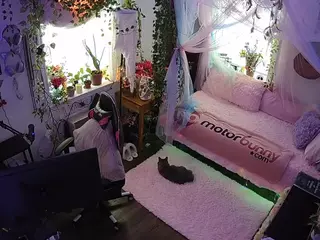voyeurcam veccasalt 01's Live Sex Cam Show