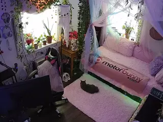 voyeurcam veccasalt 01's Live Sex Cam Show