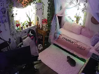 voyeurcam veccasalt 01's Live Sex Cam Show