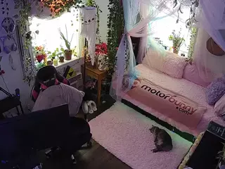 voyeurcam veccasalt 01's Live Sex Cam Show