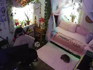voyeurcam veccasalt 01's Live Sex Cam Show