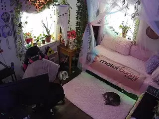 voyeurcam veccasalt 01's Live Sex Cam Show