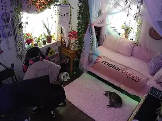 voyeurcam veccasalt 01's Live Sex Cam Show