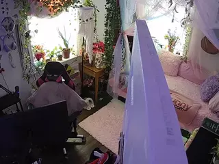 voyeurcam veccasalt 01's Live Sex Cam Show