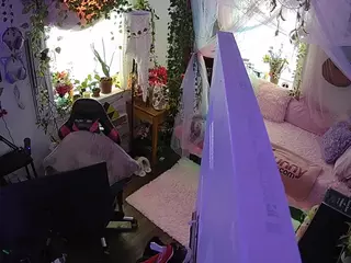 voyeurcam veccasalt 01's Live Sex Cam Show