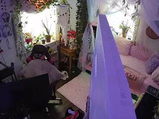 voyeurcam veccasalt 01's Live Sex Cam Show