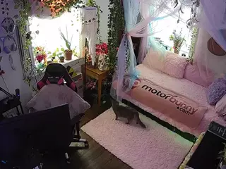 voyeurcam veccasalt 01's Live Sex Cam Show