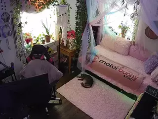 voyeurcam veccasalt 01's Live Sex Cam Show