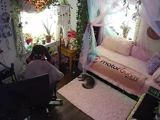 voyeurcam veccasalt 01's Live Sex Cam Show