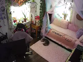 voyeurcam veccasalt 01's Live Sex Cam Show