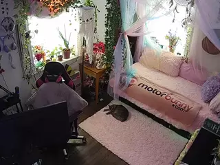voyeurcam veccasalt 01's Live Sex Cam Show