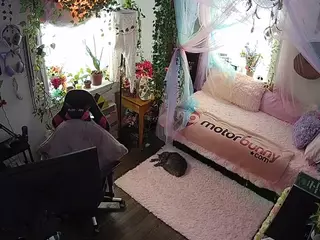 voyeurcam veccasalt 01's Live Sex Cam Show
