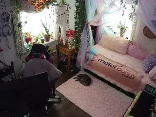 voyeurcam veccasalt 01's Live Sex Cam Show