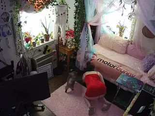 voyeurcam veccasalt 01's Live Sex Cam Show