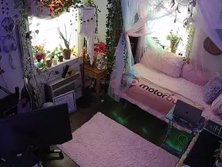 voyeurcam veccasalt 01's Live Sex Cam Show