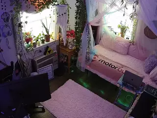 voyeurcam veccasalt 01's Live Sex Cam Show