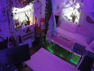 voyeurcam veccasalt 01's Live Sex Cam Show