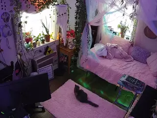 voyeurcam veccasalt 01's Live Sex Cam Show