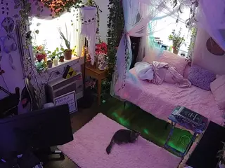 voyeurcam veccasalt 01's Live Sex Cam Show