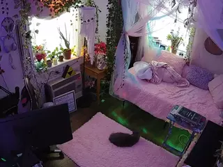 voyeurcam veccasalt 01's Live Sex Cam Show