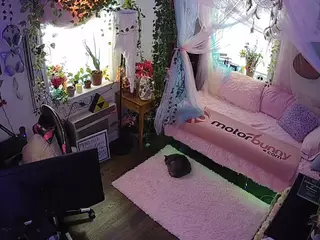 voyeurcam veccasalt 01's Live Sex Cam Show