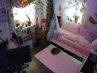 voyeurcam veccasalt 01's Live Sex Cam Show