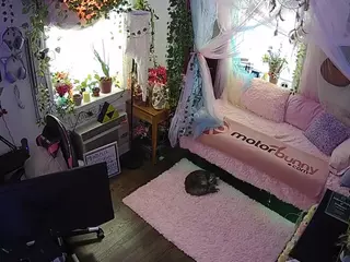 voyeurcam veccasalt 01's Live Sex Cam Show