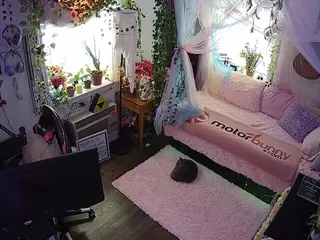 voyeurcam veccasalt 01's Live Sex Cam Show