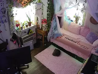 voyeurcam veccasalt 01's Live Sex Cam Show
