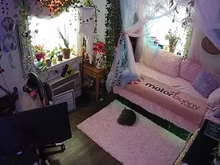 voyeurcam veccasalt 01's Live Sex Cam Show