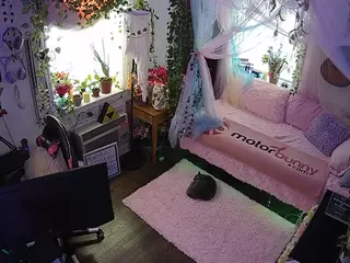voyeurcam veccasalt 01's Live Sex Cam Show