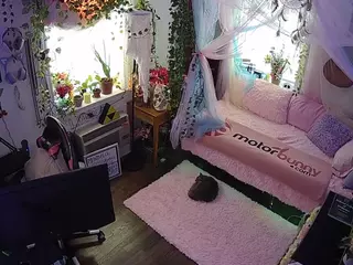 voyeurcam veccasalt 01's Live Sex Cam Show