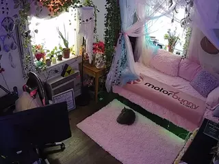 voyeurcam veccasalt 01's Live Sex Cam Show