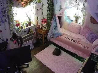 voyeurcam veccasalt 01's Live Sex Cam Show