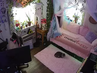 voyeurcam veccasalt 01's Live Sex Cam Show