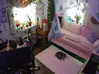 voyeurcam veccasalt 01's Live Sex Cam Show