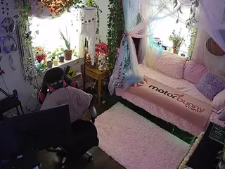 voyeurcam veccasalt 01's Live Sex Cam Show