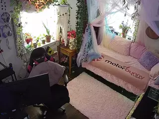voyeurcam veccasalt 01's Live Sex Cam Show