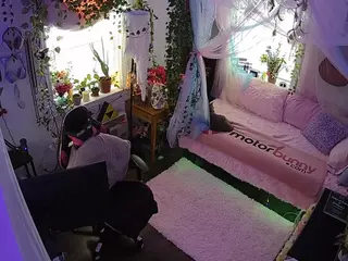 voyeurcam veccasalt 01's Live Sex Cam Show