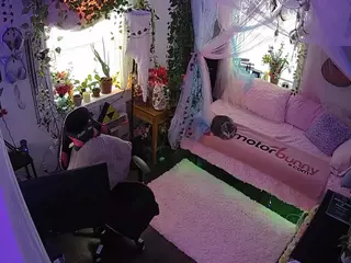 voyeurcam veccasalt 01's Live Sex Cam Show