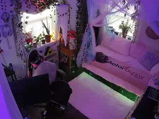 voyeurcam veccasalt 01's Live Sex Cam Show