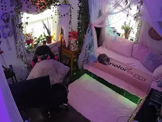 voyeurcam veccasalt 01's Live Sex Cam Show