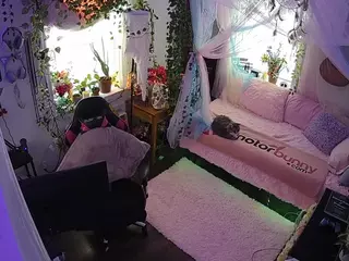 voyeurcam veccasalt 01's Live Sex Cam Show