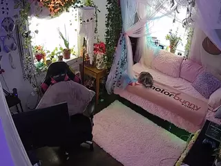 voyeurcam veccasalt 01's Live Sex Cam Show