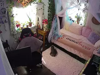 voyeurcam veccasalt 01's Live Sex Cam Show