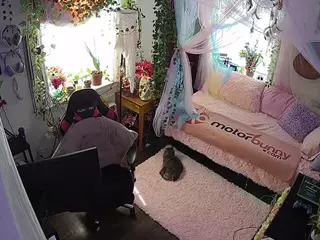 voyeurcam veccasalt 01's Live Sex Cam Show