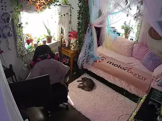 voyeurcam veccasalt 01's Live Sex Cam Show