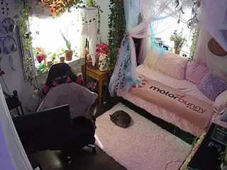 voyeurcam veccasalt 01's Live Sex Cam Show