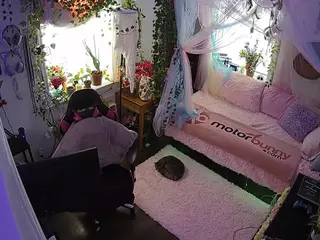 voyeurcam veccasalt 01's Live Sex Cam Show